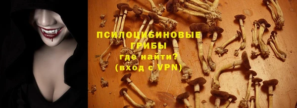 стаф Нефтегорск