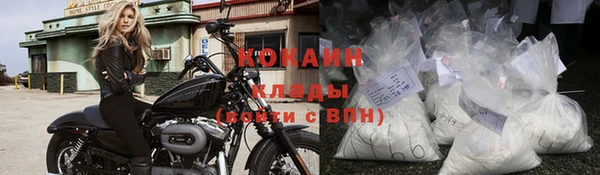 стаф Нефтегорск