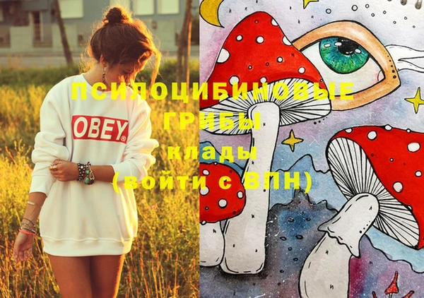 стаф Нефтегорск